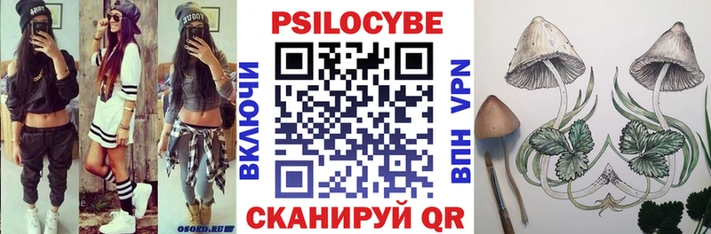 блэк спрут зеркало Кущёвская Псилоцибиновые грибы Psilocybine cubensis